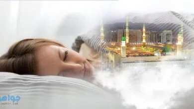 تفسير رؤية المدينة المنورة